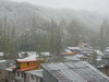 abouhamzeh (11)_resize.JPG